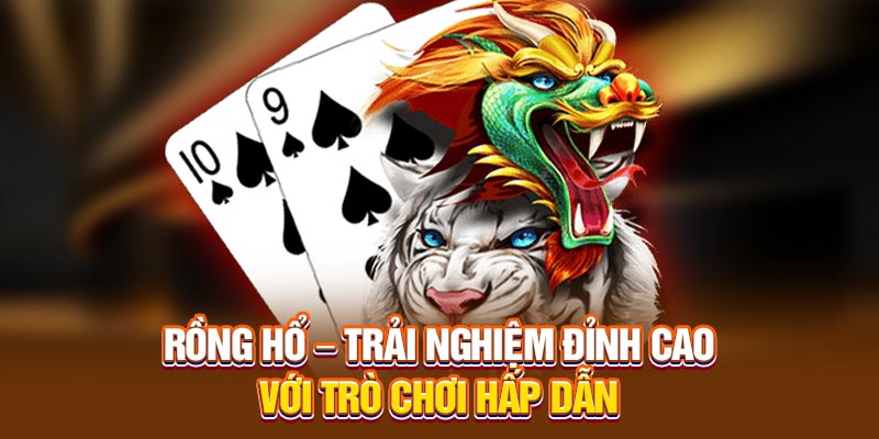 Khám Phá Nguồn Gốc Và Luật Chơi Rồng Hổ